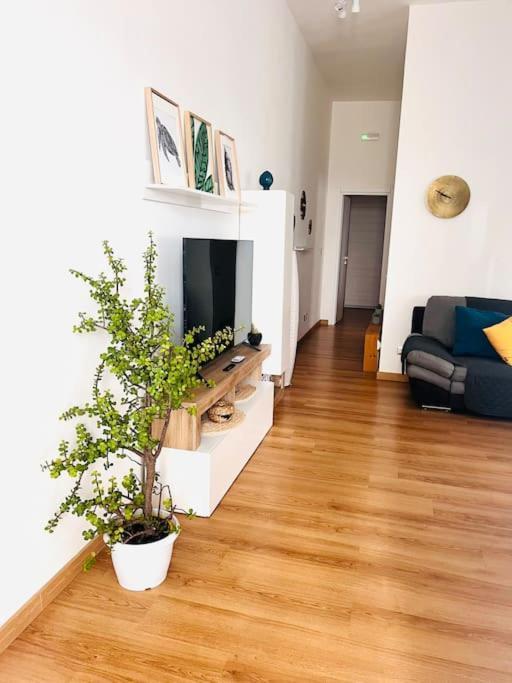 Turistico In Zona - Aeroporto Fco Apartment Fiumicino
